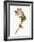 Audubon: Warbler, 1827-38-John James Audubon-Framed Giclee Print