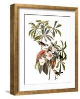 Audubon: Warbler, 1827-38-John James Audubon-Framed Giclee Print