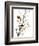 Audubon: Warbler, 1827-38-John James Audubon-Framed Premium Giclee Print