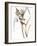 Audubon: Warbler, 1827-John James Audubon-Framed Giclee Print