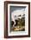 Audubon: Whooping Crane-John James Audubon-Framed Giclee Print