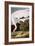 Audubon: Whooping Crane-John James Audubon-Framed Giclee Print