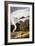 Audubon: Whooping Crane-John James Audubon-Framed Giclee Print