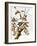 Audubon: Woodpecker, 1827-John James Audubon-Framed Giclee Print