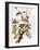 Audubon: Woodpecker, 1827-John James Audubon-Framed Giclee Print