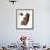 Audubon: Woodpecker-John James Audubon-Framed Giclee Print displayed on a wall
