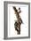 Audubon: Woodpecker-John James Audubon-Framed Giclee Print