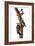 Audubon: Woodpecker-John James Audubon-Framed Giclee Print