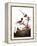 Audubon: Wren-John James Audubon-Framed Premier Image Canvas