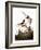 Audubon: Wren-John James Audubon-Framed Giclee Print