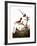 Audubon: Wren-John James Audubon-Framed Giclee Print