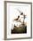 Audubon: Wren-John James Audubon-Framed Giclee Print