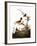 Audubon: Wren-John James Audubon-Framed Giclee Print