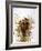 Audubon: Wren-John James Audubon-Framed Giclee Print