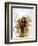 Audubon: Wren-John James Audubon-Framed Giclee Print