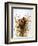 Audubon: Wren-John James Audubon-Framed Giclee Print