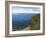 August Afternoon - Whitsand Bay from Rame Head Cornwall-Richard Harpum-Framed Art Print