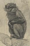 Monkey on a Branch, 1879-August Allebe-Mounted Art Print