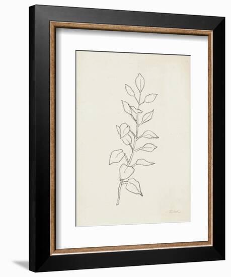 August Branch I-Silvia Vassileva-Framed Premium Giclee Print