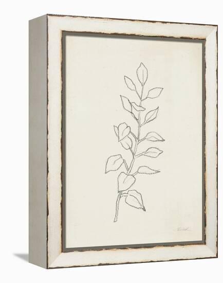 August Branch I-Silvia Vassileva-Framed Stretched Canvas