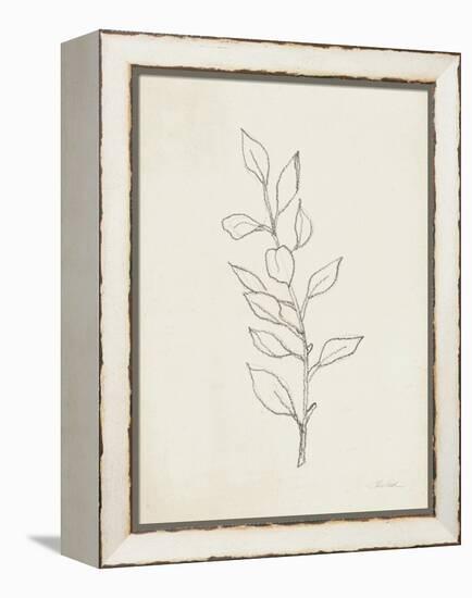 August Branch II-Silvia Vassileva-Framed Stretched Canvas