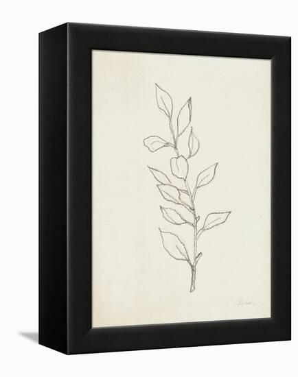 August Branch II-Silvia Vassileva-Framed Stretched Canvas