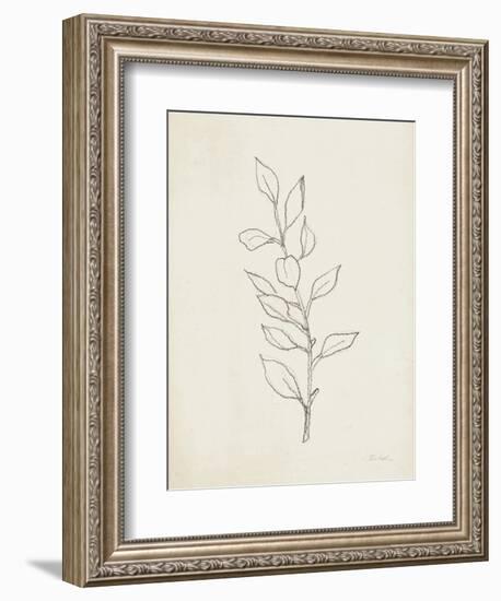 August Branch II-Silvia Vassileva-Framed Premium Giclee Print