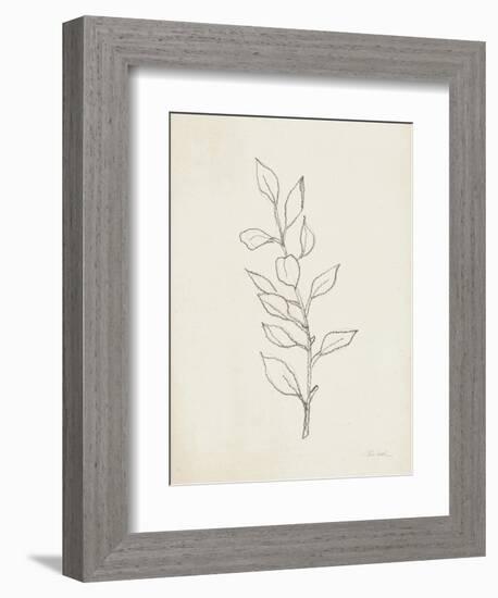 August Branch II-Silvia Vassileva-Framed Premium Giclee Print