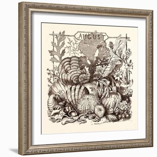 August, Calendar, Year, Month, Monthly-null-Framed Giclee Print