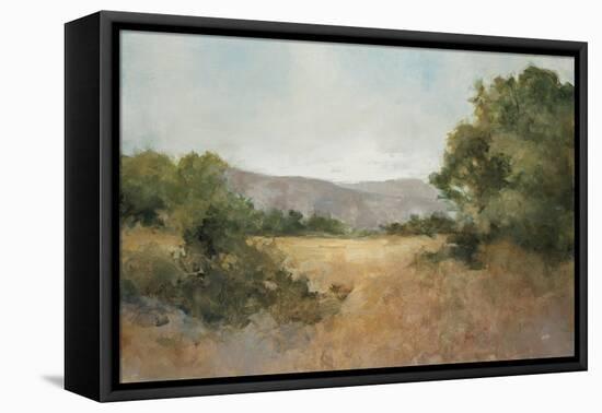 August Fields Gray-Julia Purinton-Framed Stretched Canvas