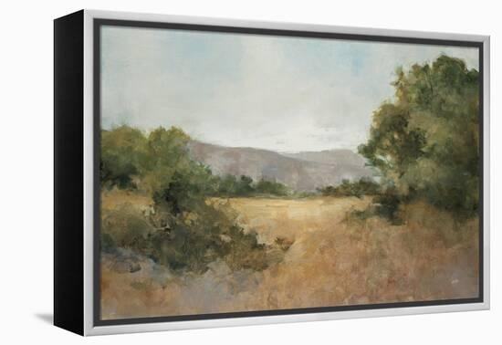 August Fields Gray-Julia Purinton-Framed Stretched Canvas