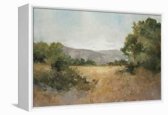 August Fields Gray-Julia Purinton-Framed Stretched Canvas