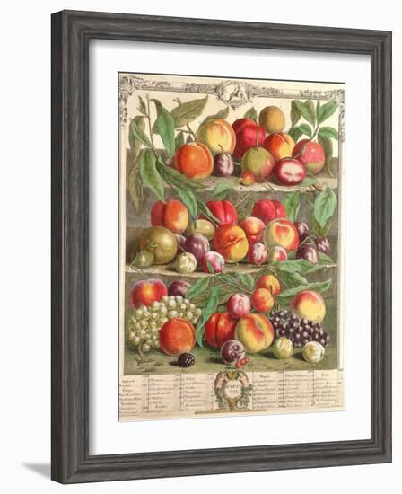 August, from 'Twelve Months of Fruits', by Robert Furber (C.1674-1756) Engraved by C. Du Bose, 1732-Pieter Casteels-Framed Giclee Print