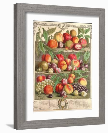 August, from 'Twelve Months of Fruits', by Robert Furber (C.1674-1756) Engraved by C. Du Bose, 1732-Pieter Casteels-Framed Giclee Print