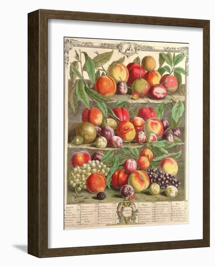 August, from 'Twelve Months of Fruits', by Robert Furber (C.1674-1756) Engraved by C. Du Bose, 1732-Pieter Casteels-Framed Giclee Print