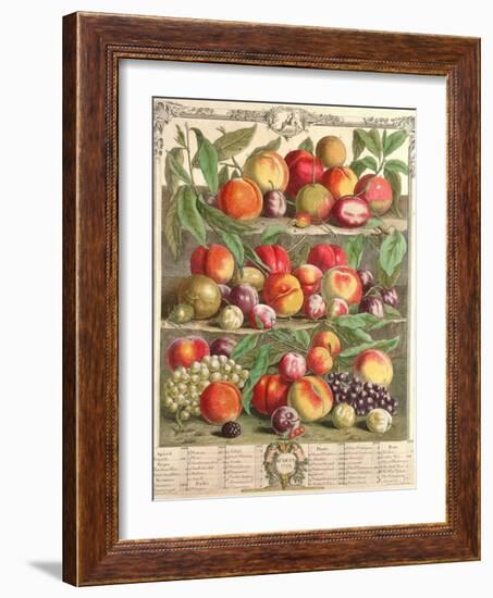 August, from 'Twelve Months of Fruits', by Robert Furber (C.1674-1756) Engraved by C. Du Bose, 1732-Pieter Casteels-Framed Giclee Print