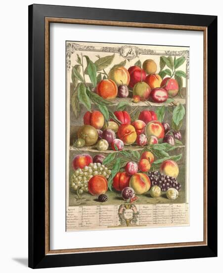 August, from 'Twelve Months of Fruits', by Robert Furber (C.1674-1756) Engraved by C. Du Bose, 1732-Pieter Casteels-Framed Giclee Print