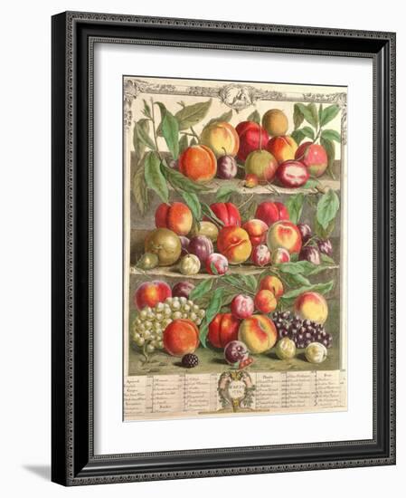 August, from 'Twelve Months of Fruits', by Robert Furber (C.1674-1756) Engraved by C. Du Bose, 1732-Pieter Casteels-Framed Giclee Print