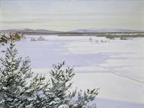 Sunny Landscape in Winter (Sweden)-August Hagborg-Giclee Print