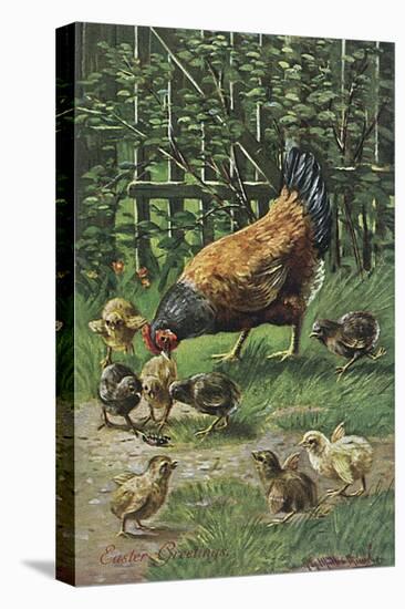 Stretched Canvas Print, , large