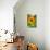 August Sunflowers-Robert Goldwitz-Photographic Print displayed on a wall