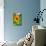 August Sunflowers-Robert Goldwitz-Mounted Photographic Print displayed on a wall