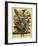 August-Robert Furber-Framed Art Print