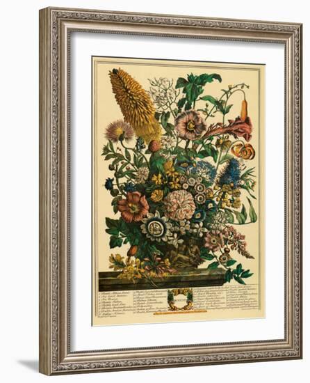 August-Robert Furber-Framed Art Print