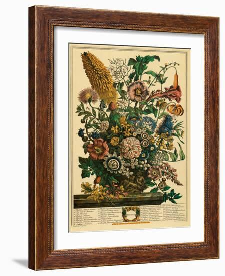 August-Robert Furber-Framed Art Print