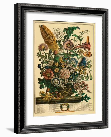 August-Robert Furber-Framed Art Print