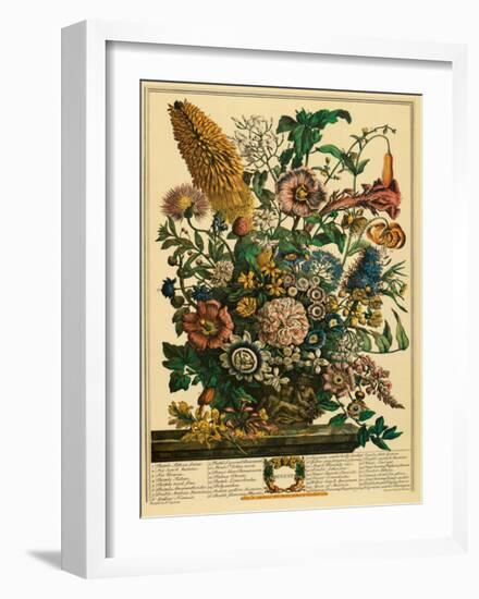 August-Robert Furber-Framed Art Print