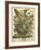 August-Robert Furber-Framed Giclee Print