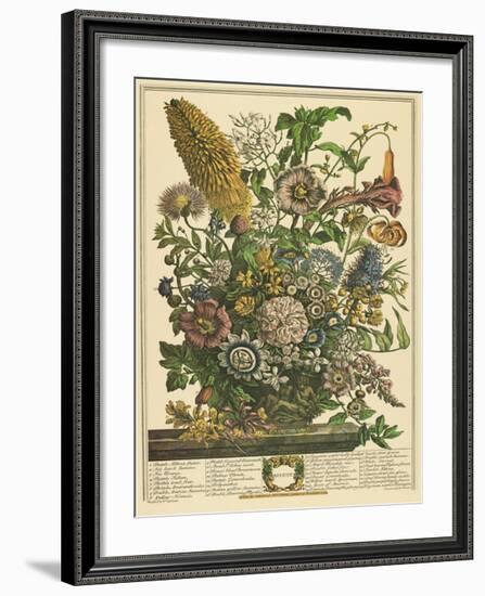 August-Robert Furber-Framed Giclee Print