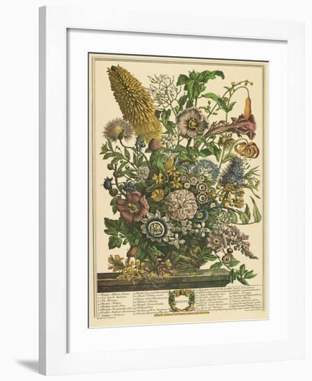 August-Robert Furber-Framed Giclee Print